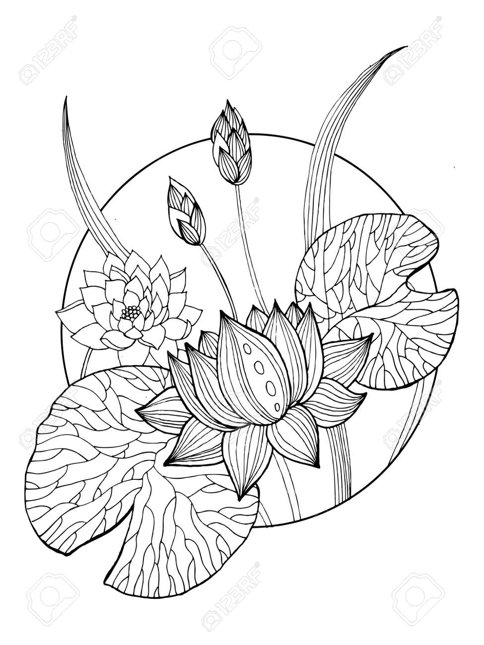 Lotus Flower Coloring Book Vector Illustration Tattoo Stencil Black And White Lines Lace