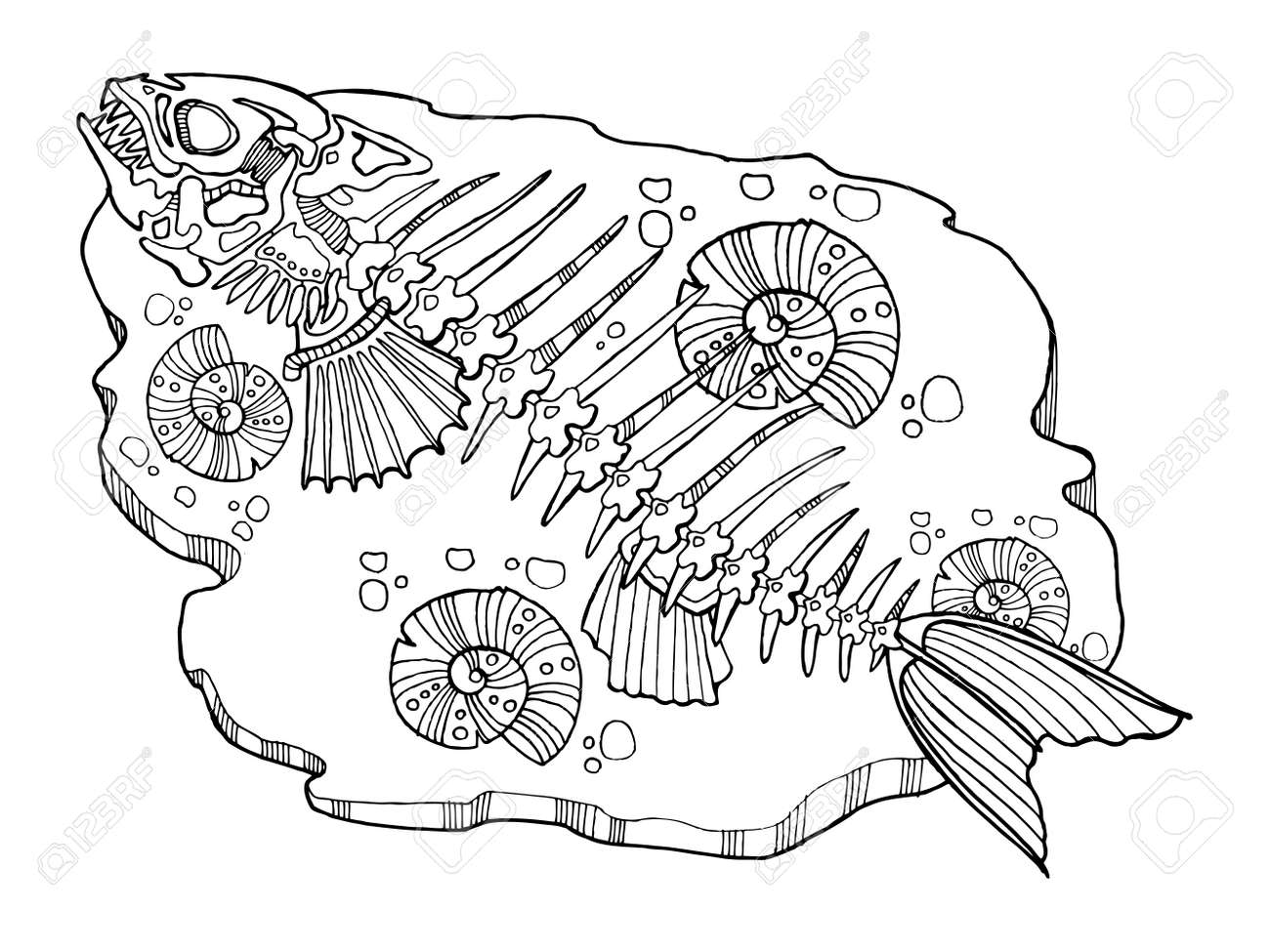 Skeleton Of Fish Coloring Book Vector Illustration. Lace Pattern ... Skeleton Of Fish Coloring Book Vector Illustration. Lace Pattern ...