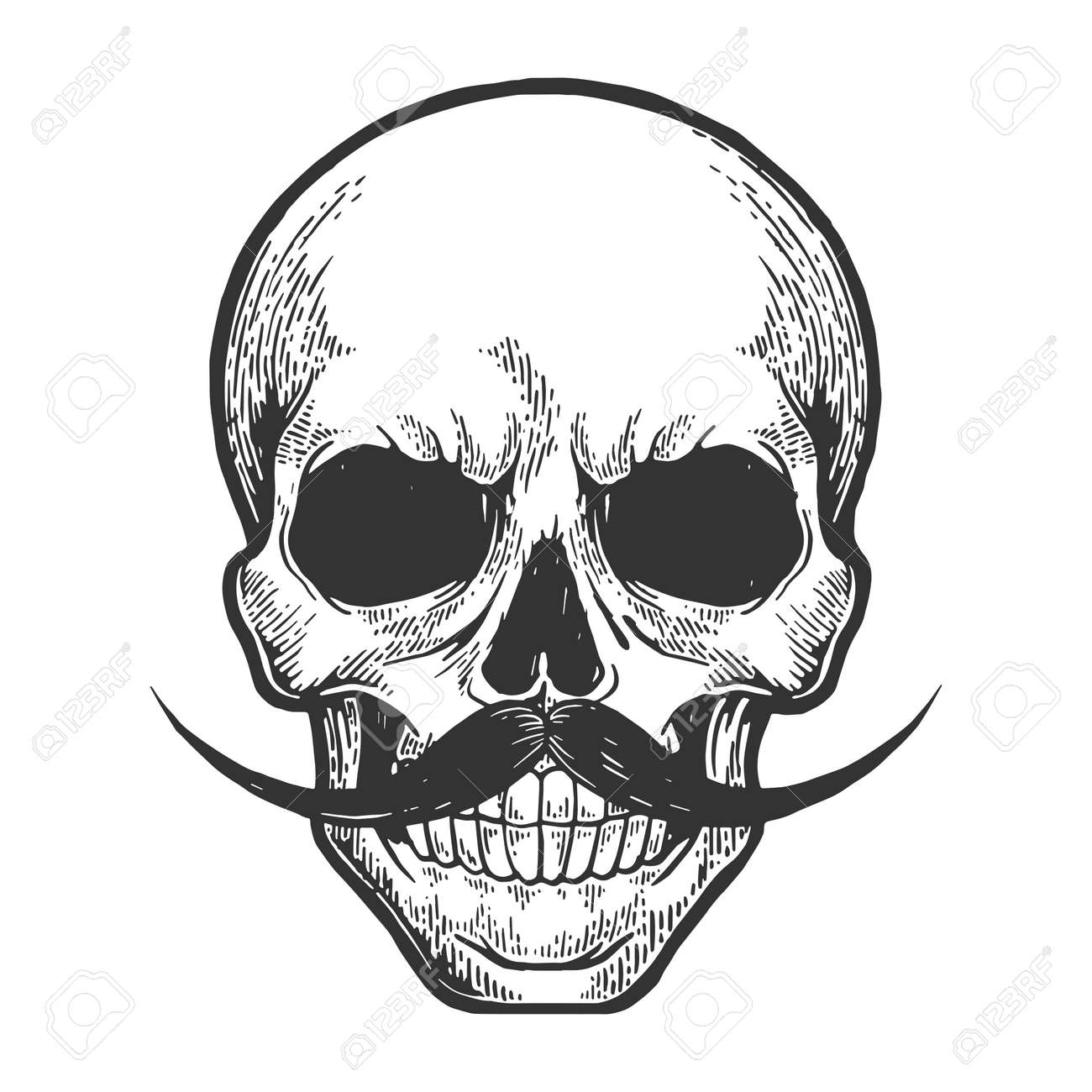 Human skull sketch engraving vector illustration. Scratch board style imitation. Hand drawn image. - 121609027 Human skull sketch engraving vector illustration. Scratch board style imitation. Hand drawn image. - 121609027