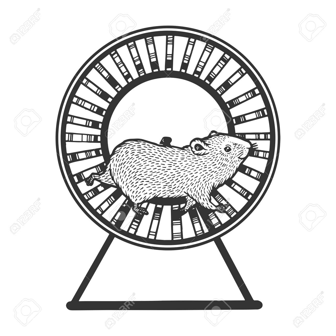 Hamster Run In The Wheel Sketch Engraving Vector Illustration. T-shirt  Apparel Print Design. Scratch Board Style Imitation. Black And White Hand  Drawn Image. Клипарты, SVG, векторы, и Набор Иллюстраций Без Оплаты  Отчислений.
