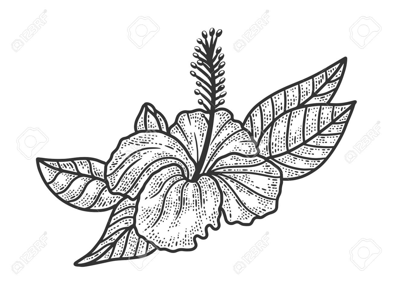 Download Hibiscus Flower Board Art Collectibles Mosaic