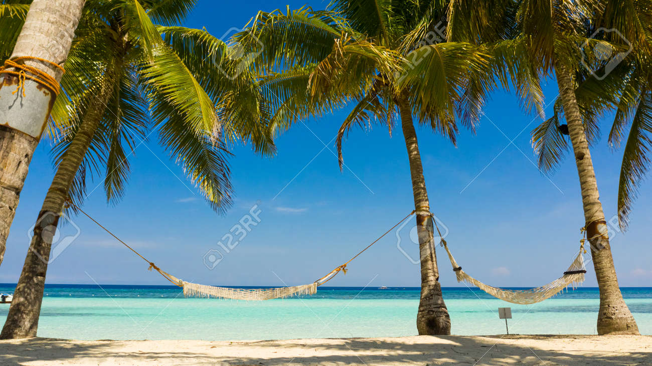 Tropical beach with with hammock and palm trees. Beautiful beach and tropical sea. Panglao island, Bohol, Philippines. Summer and travel vacation concept. - 168137976 Tropical beach with with hammock and palm trees. Beautiful beach and tropical sea. Panglao island, Bohol, Philippines. Summer and travel vacation concept. - 168137976