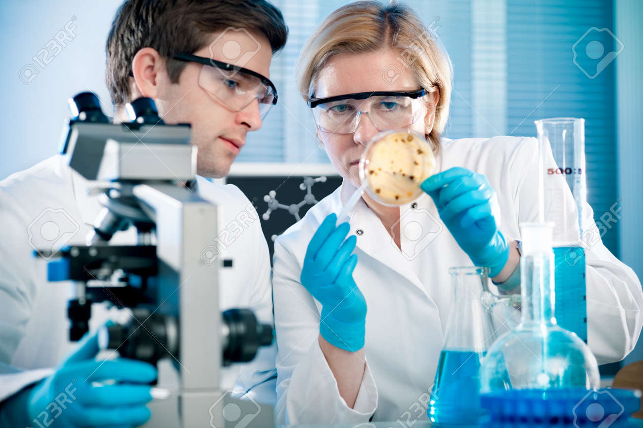 scientists working at the laboratory - 12027071 scientists working at the laboratory - 12027071
