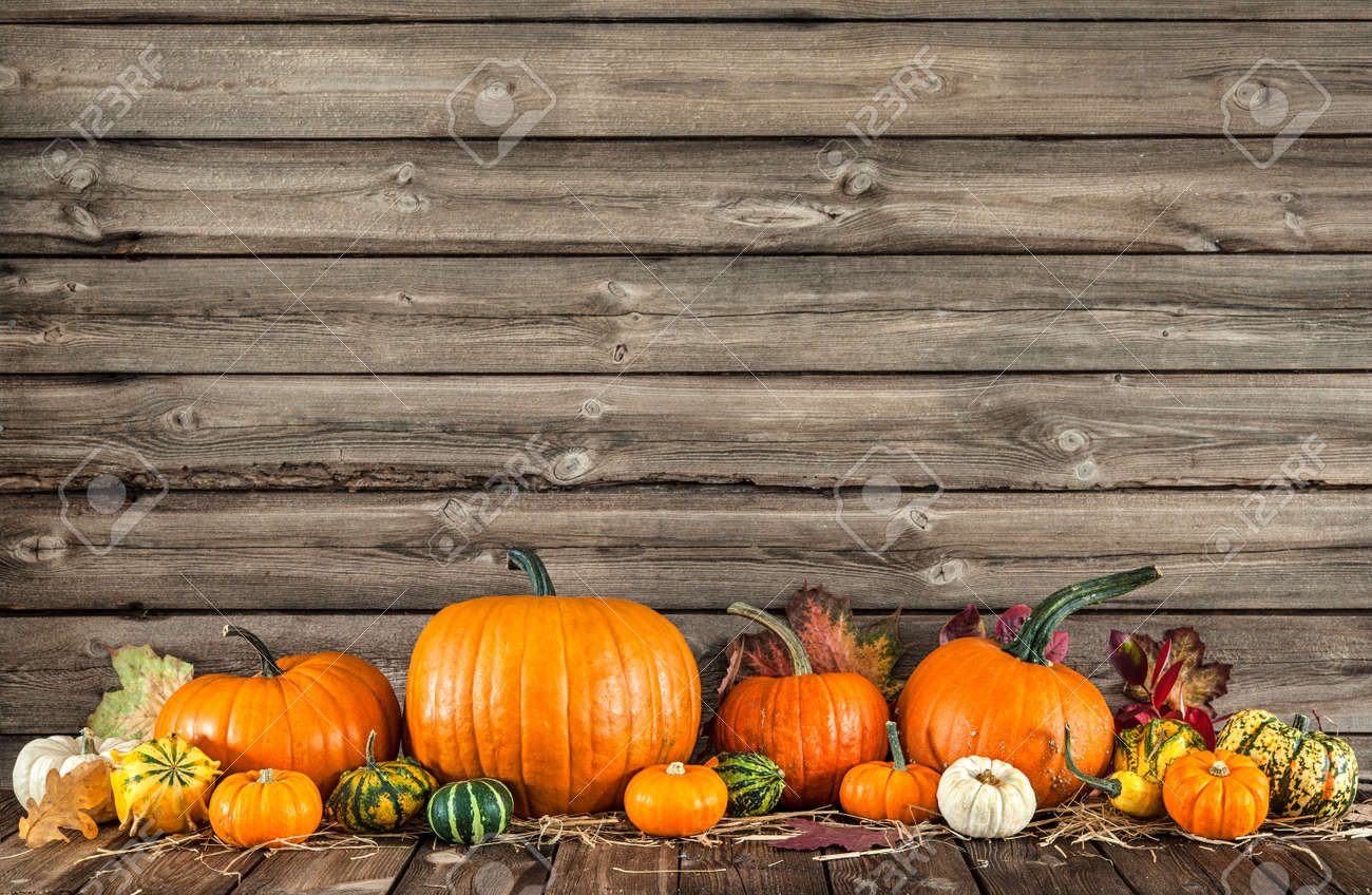 autumn still life with
