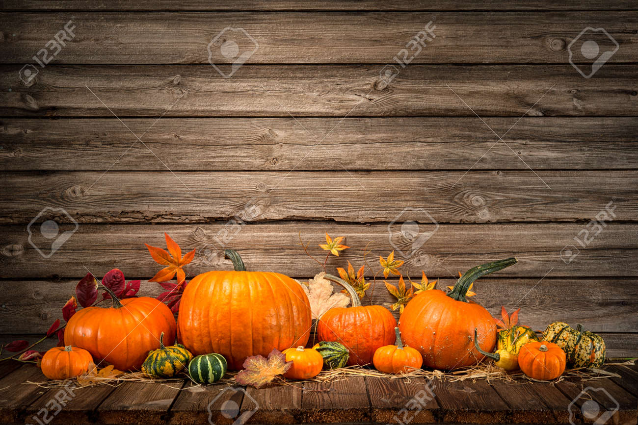 autumn still life with