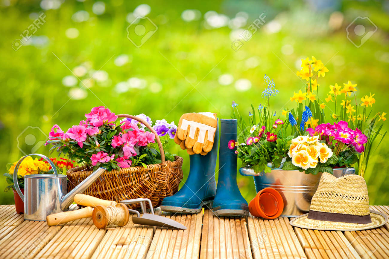 Gardening tools and flowers on the terrace in the garden - 52913984 Gardening tools and flowers on the terrace in the garden - 52913984