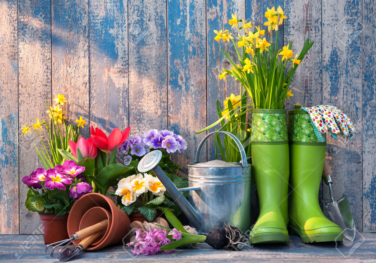 Gardening tools and flowers on the terrace in the garden - 52913999 Gardening tools and flowers on the terrace in the garden - 52913999