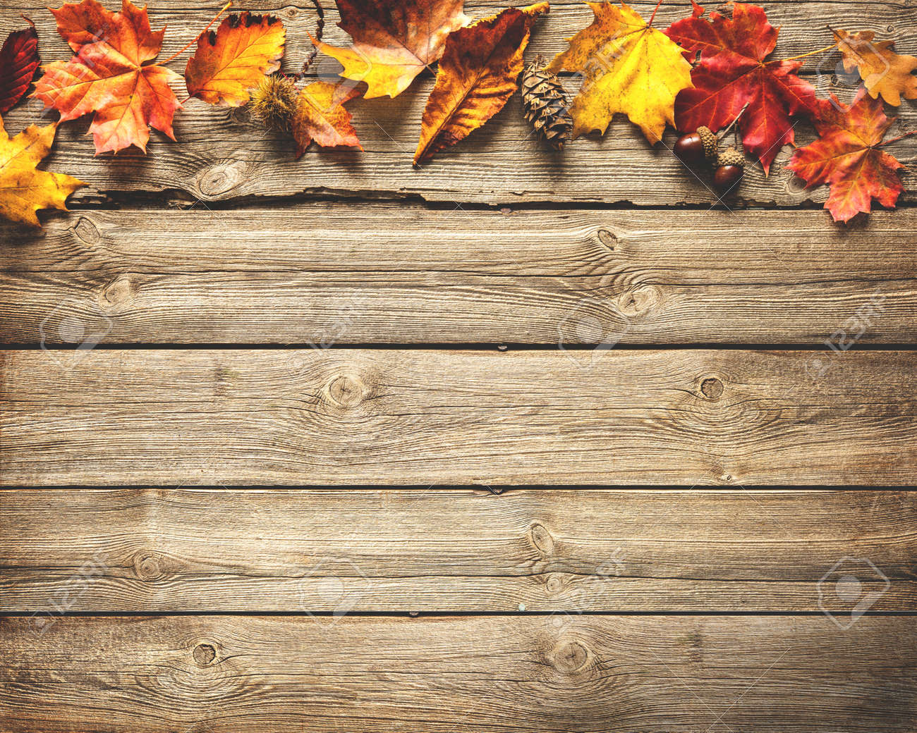 Vintage Autumn Border From Fallen Leaves And Fruits On The Old Stock Photo Picture And Royalty Free Image Image Vintage Autumn Border From Fallen Leaves And Fruits On The Old Stock Photo Picture And Royalty Free Image Image