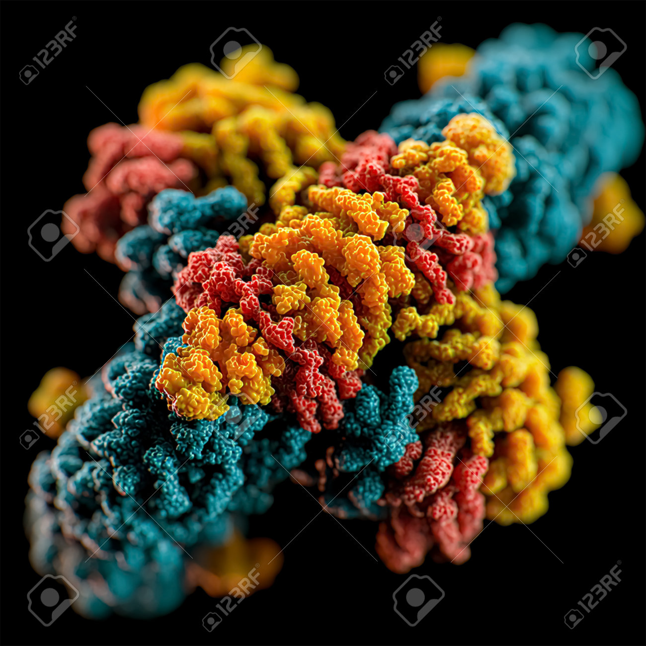 etiam-dictum-ipsum-a-felis