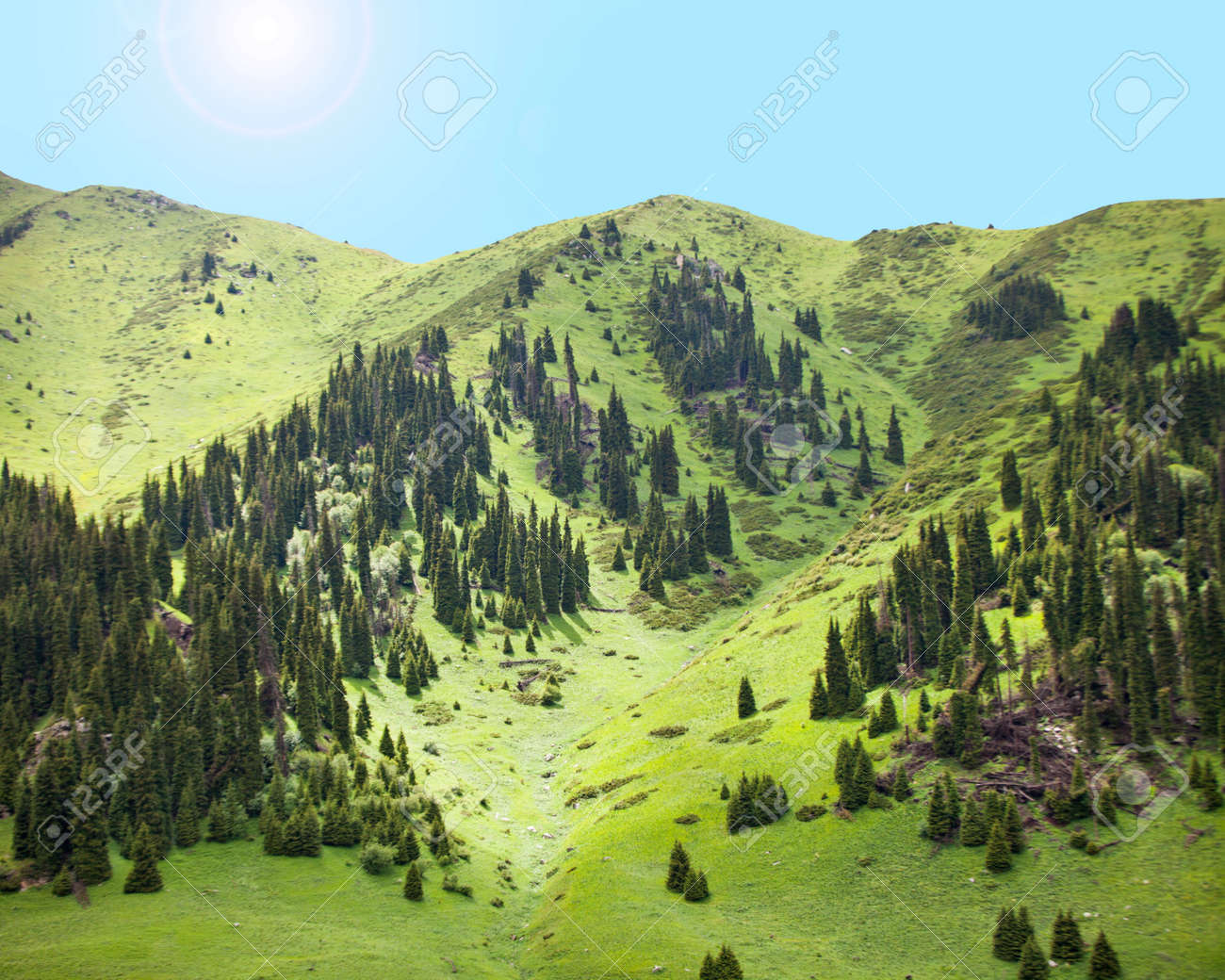 etiam-dictum-ipsum-a-felis