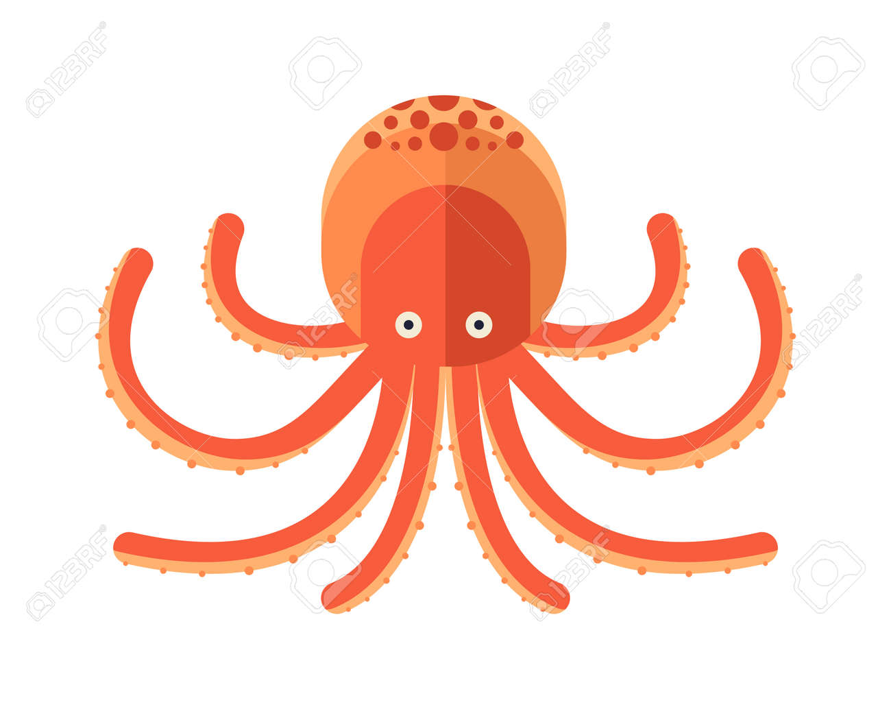漫画タコ ベクトルのイラスト タコのイラストです タコの漫画のスタイル ホワイトにかわいいタコは 漫画の水中動物のタコ 人生の海の動物 のイラスト素材 ベクタ Image