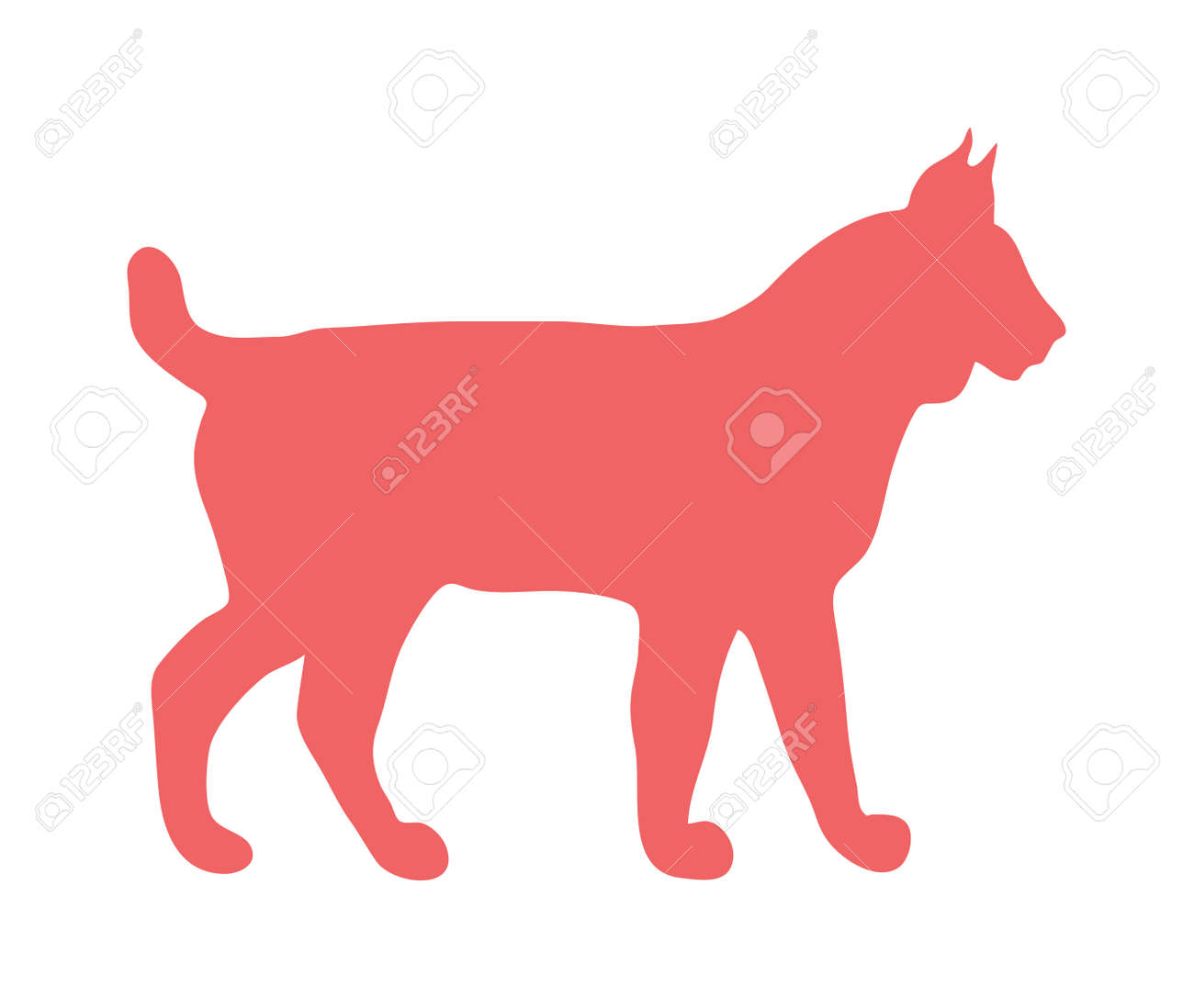 wild lynx cat animal flat vector silhouette and wild animal symbol