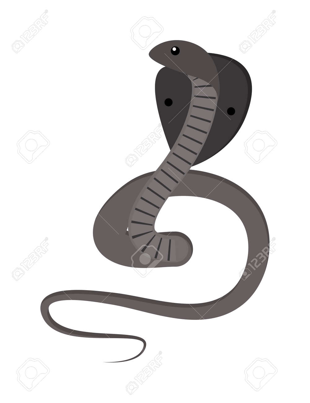 cobra snake coiled and ready to strike showing fangs tongue danger