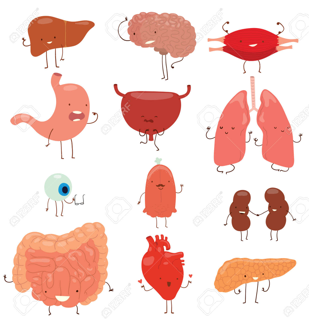 Menschliche Organe Korperteile Lustig Vektor Set Und Starkes Herz Menschlichen Organen Menschliche Organe Gesund Arterie Und Starke Muskeln Menschlichen Organen Cartoon Niedlich Scharfes Auge Organ Des Menschen Gesunde Lunge Und Gesunde Leber