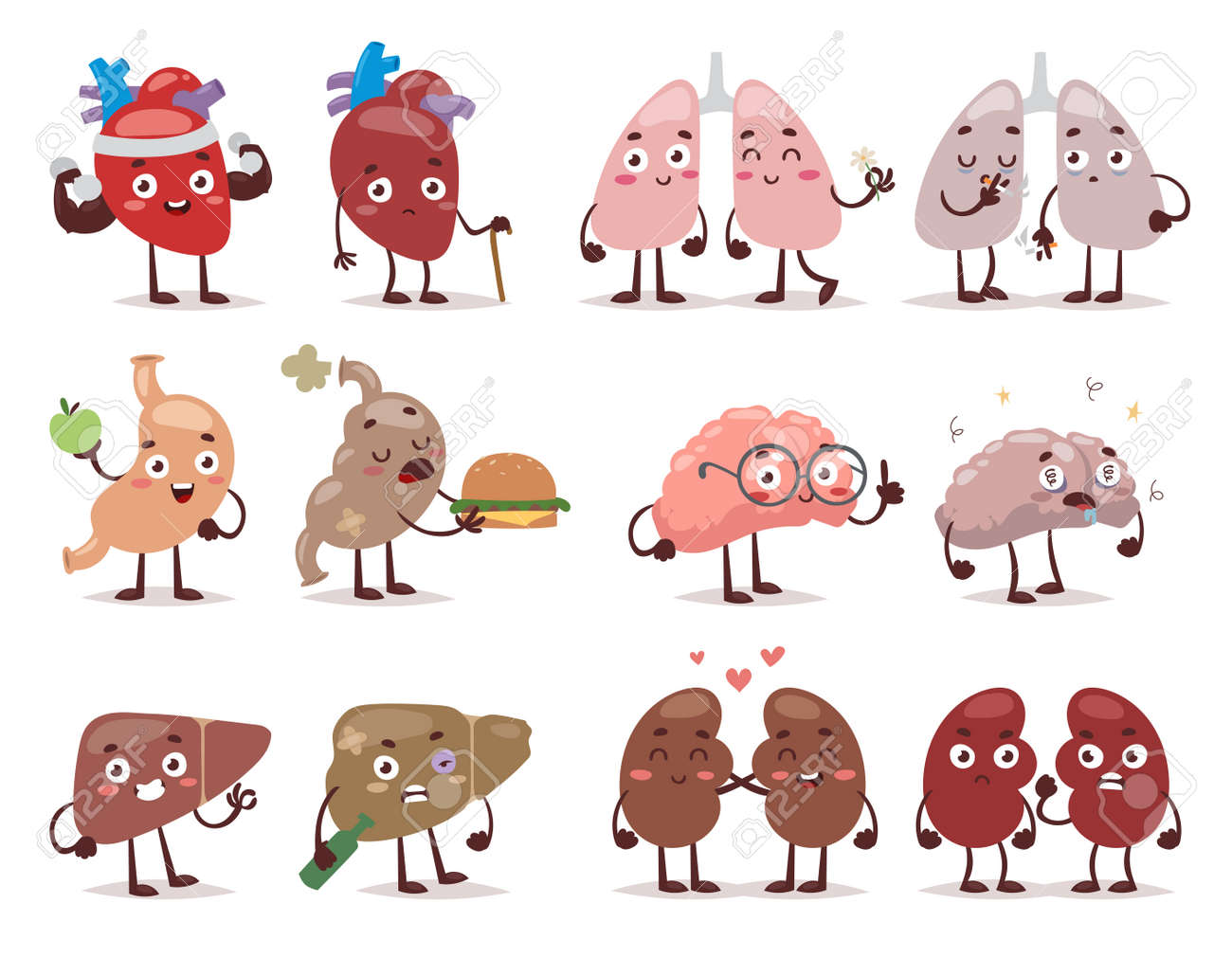set cartoon internal human organs with cute faces vector
