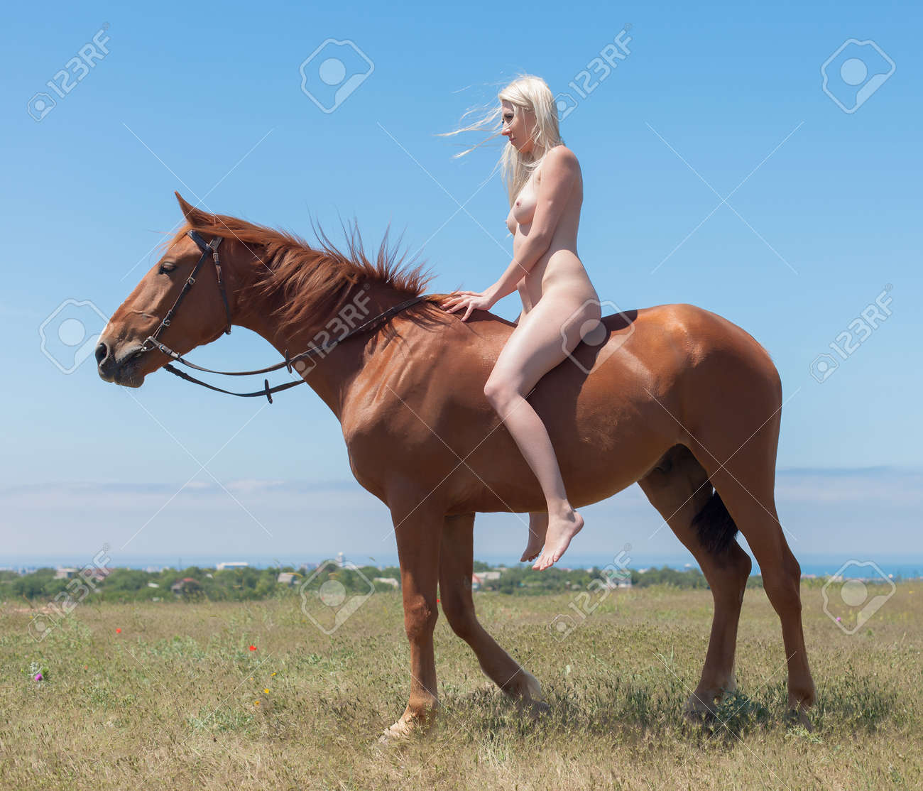 Horse nude
