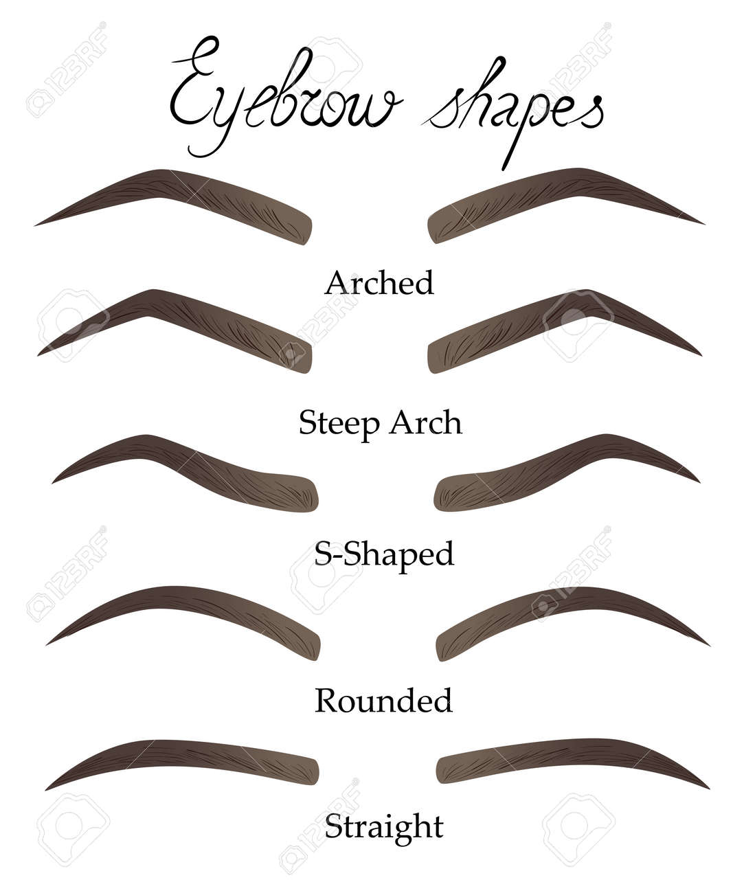 female eyebrows in different shapes female eyes with different