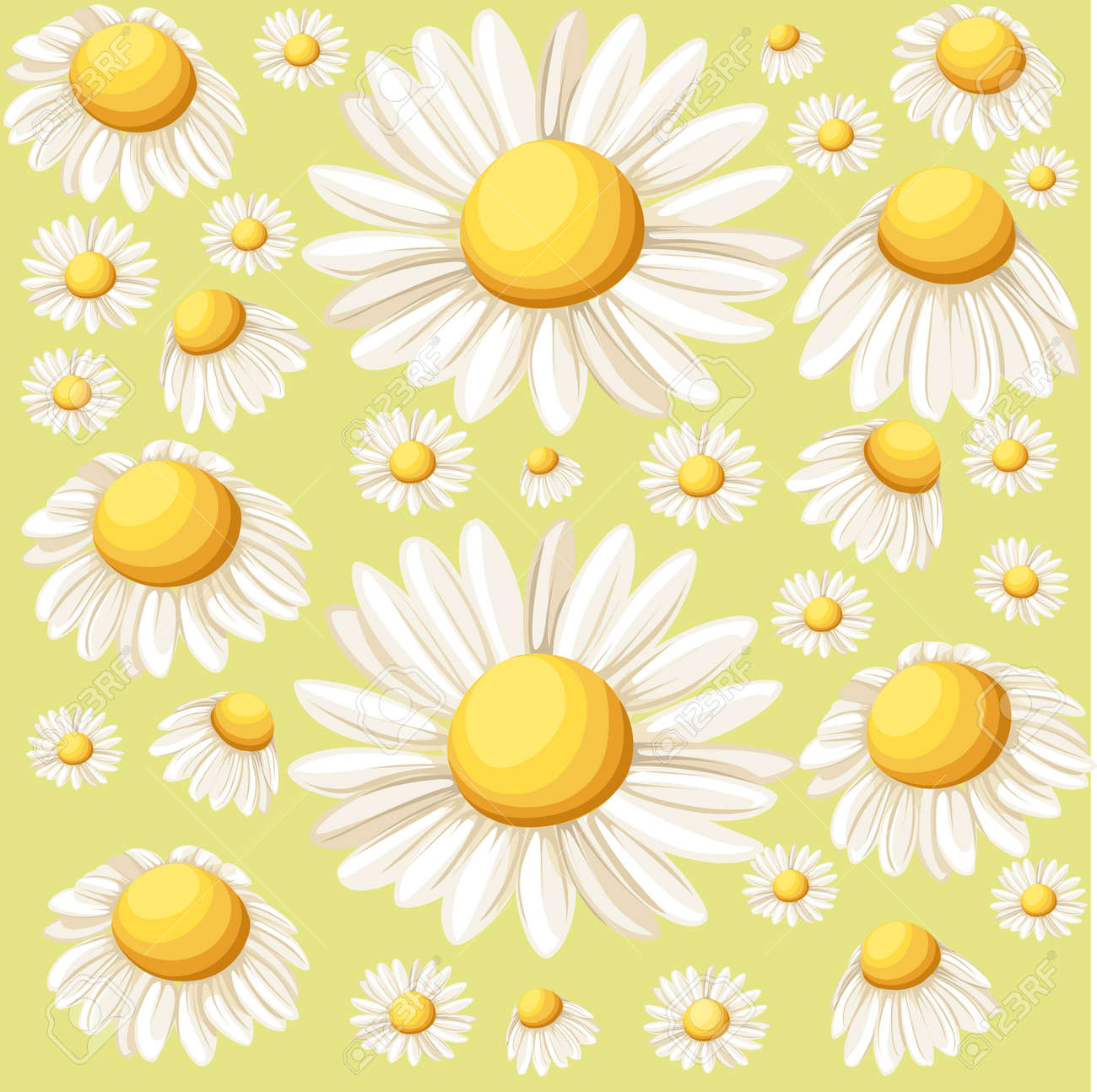 花束現実的なデイジー 白い背景の上のカモミールの花 ベクトル イラスト カード カモミール ティー医療 Web サイト ページとモバイル アプリは ベクトル図を設計します のイラスト素材 ベクタ Image 花束現実的なデイジー 白い背景の上のカモミールの花 ベクトル イラスト カード カモミール ティー医療 Web サイト ページとモバイル アプリは ベクトル図を設計します のイラスト素材 ベクタ Image