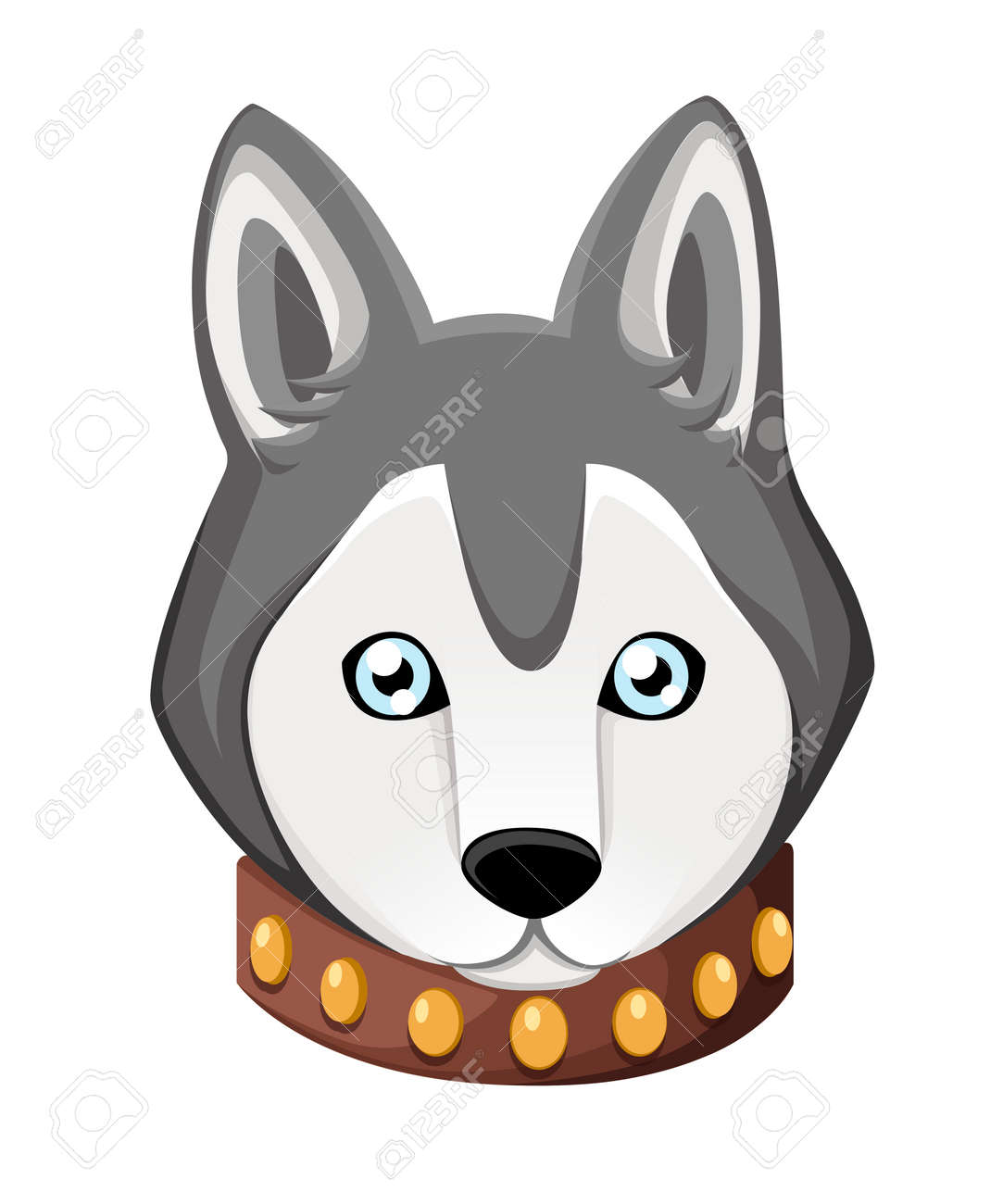 Chien Husky Sibérien Adulte Blanc Et Gris Avec Des Yeux Bleus