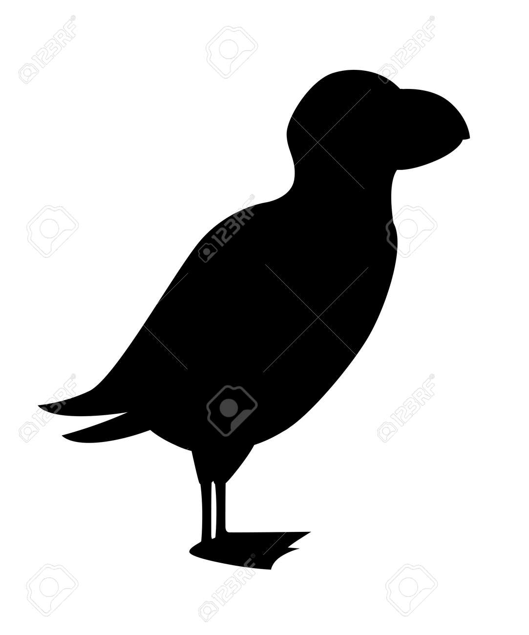 Black silhouette. Flying white bird. Atlantic puffin. Arctic animal, cartoon flat design. Vector illustration isolated on white background. - 116950277 Black silhouette. Flying white bird. Atlantic puffin. Arctic animal, cartoon flat design. Vector illustration isolated on white background. - 116950277