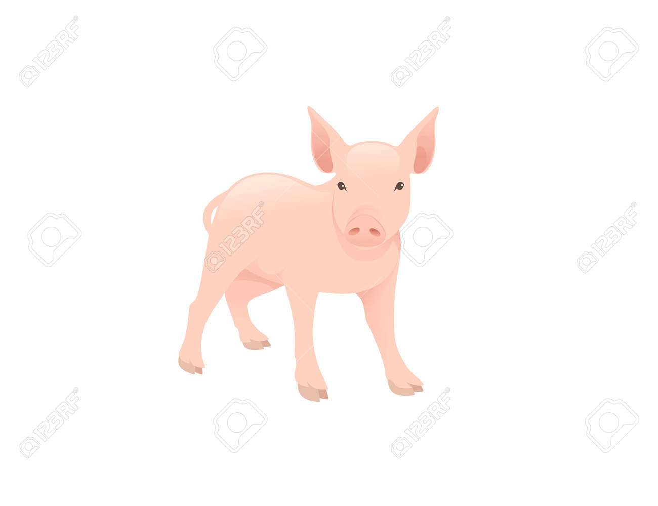 Cute adult pig farm animal cartoon animal design vector illustration isolated on white background - 168754770 Cute adult pig farm animal cartoon animal design vector illustration isolated on white background - 168754770