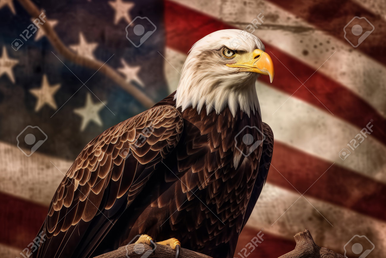 An American Bald Eagle Perched On A Branch With An American Flag In The  Background, Symbolizing Freedom And Strength. Generative Ai Stock Photo,  Picture and Royalty Free Image. Image 204417025., image size:1300x867