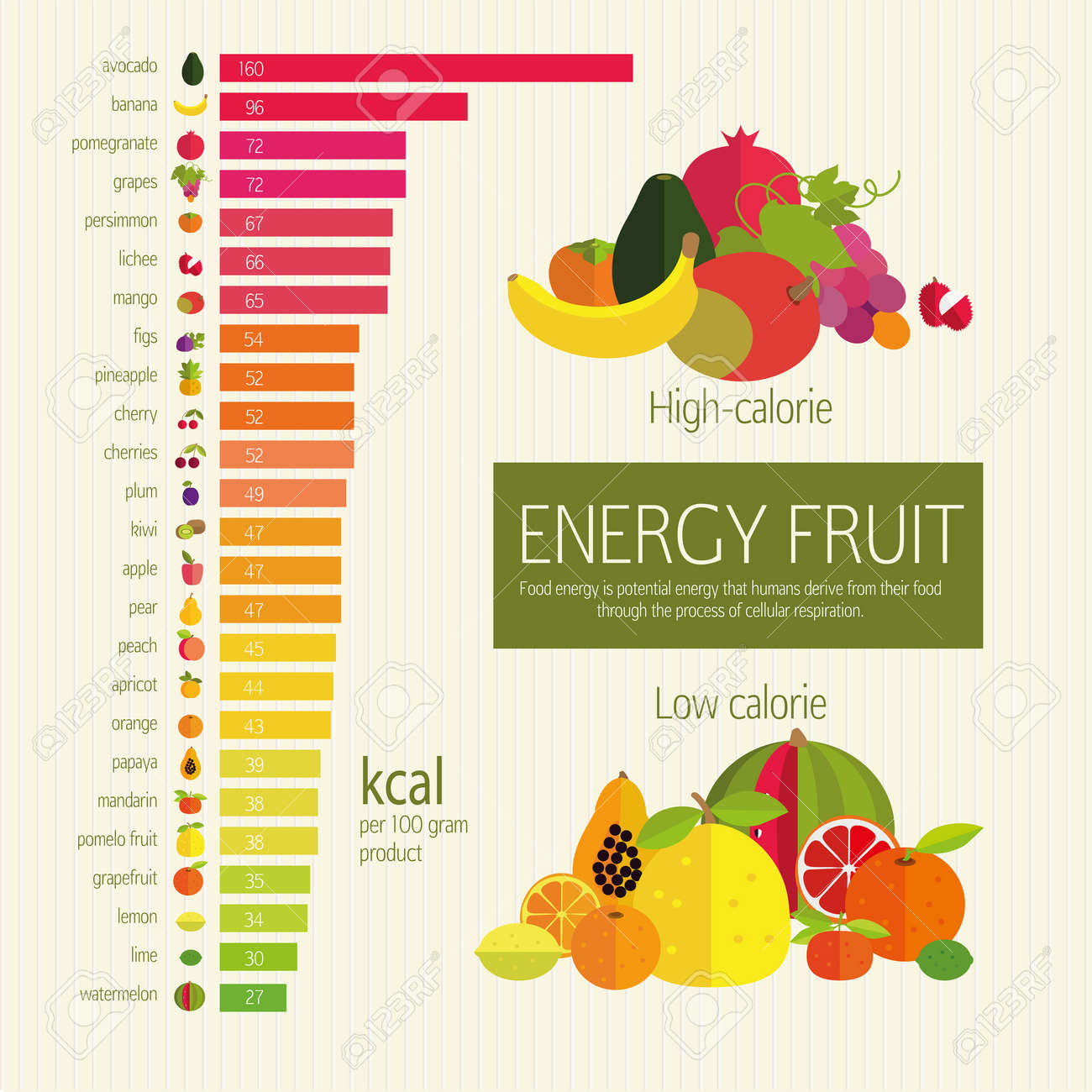 Calorie Fat Gram Chart