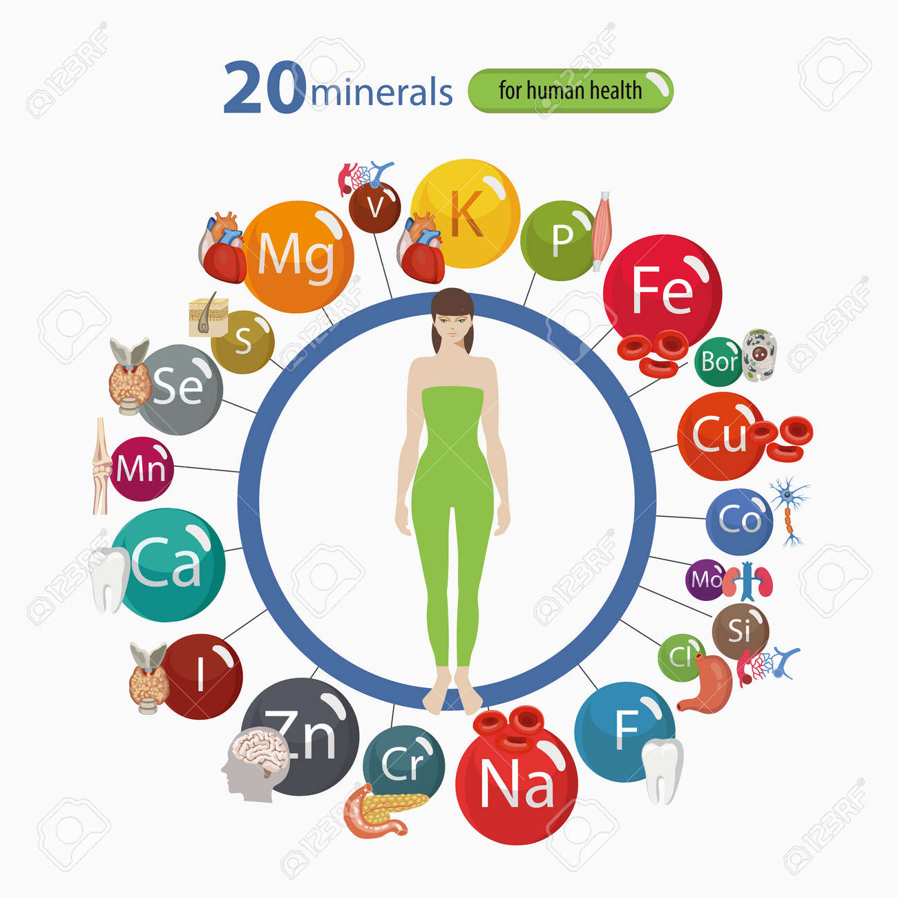 Microelements in the human body: their role and importance. Table Microelements in the human body: their role and importance. Table