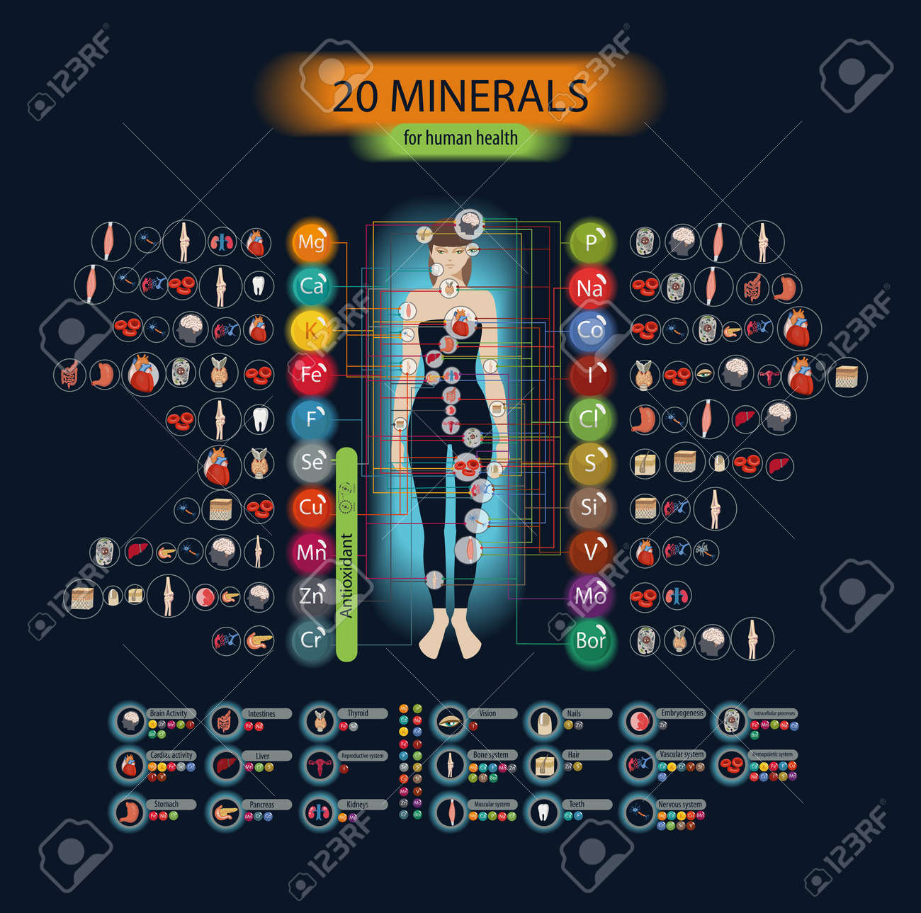 Microelements in the human body: their role and importance. Table Microelements in the human body: their role and importance. Table