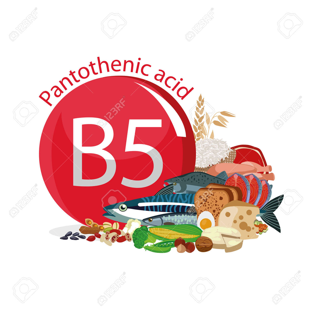 Vitamin B5 (pantothenic acid) 87 Vitamin B5 (pantothenic acid) 86