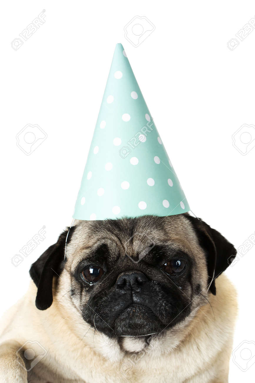 muzzle instead of cone