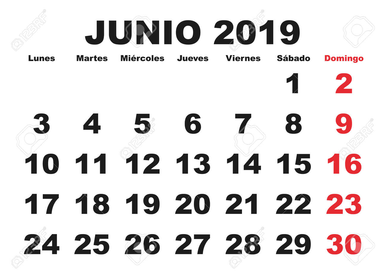 june month in a year 2019 wall calendar in spanish junio 2019 a year calendar