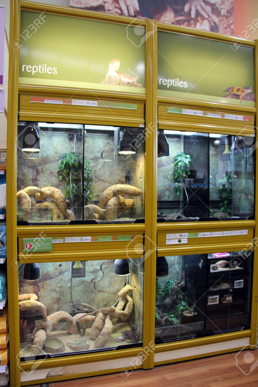 reptile display unit