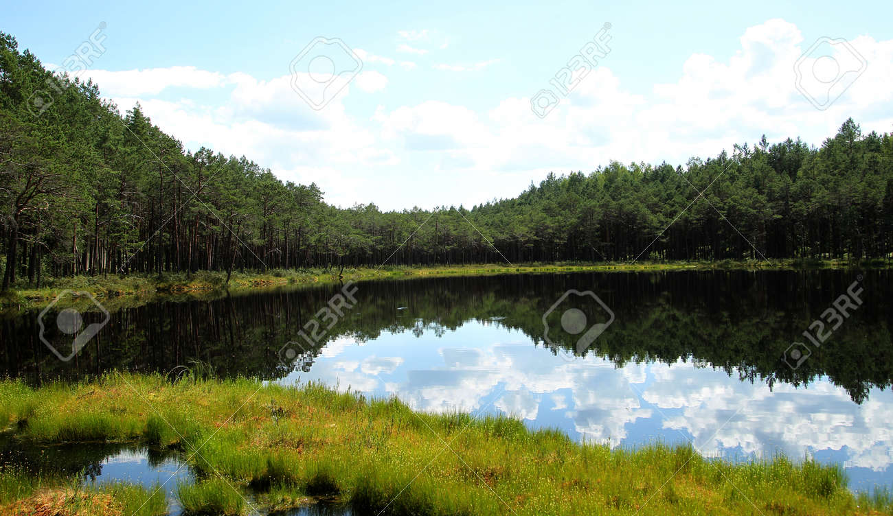Landscape with trees and a small lake. Lithuania - 154877495 Landscape with trees and a small lake. Lithuania - 154877495