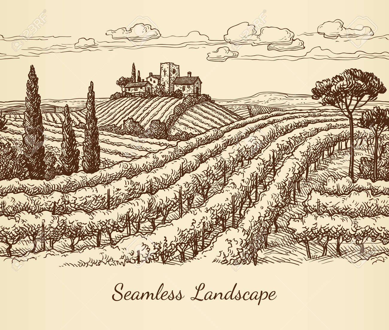 A Vineyard Seamless Landscape Isolated On Plain Light Pink
