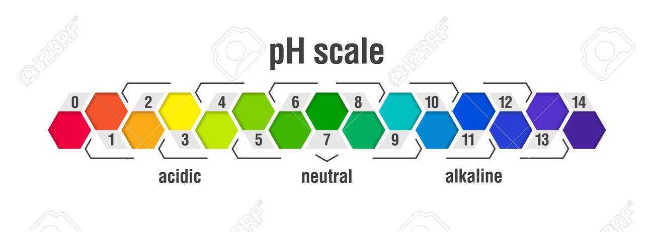 Ph Value Chart