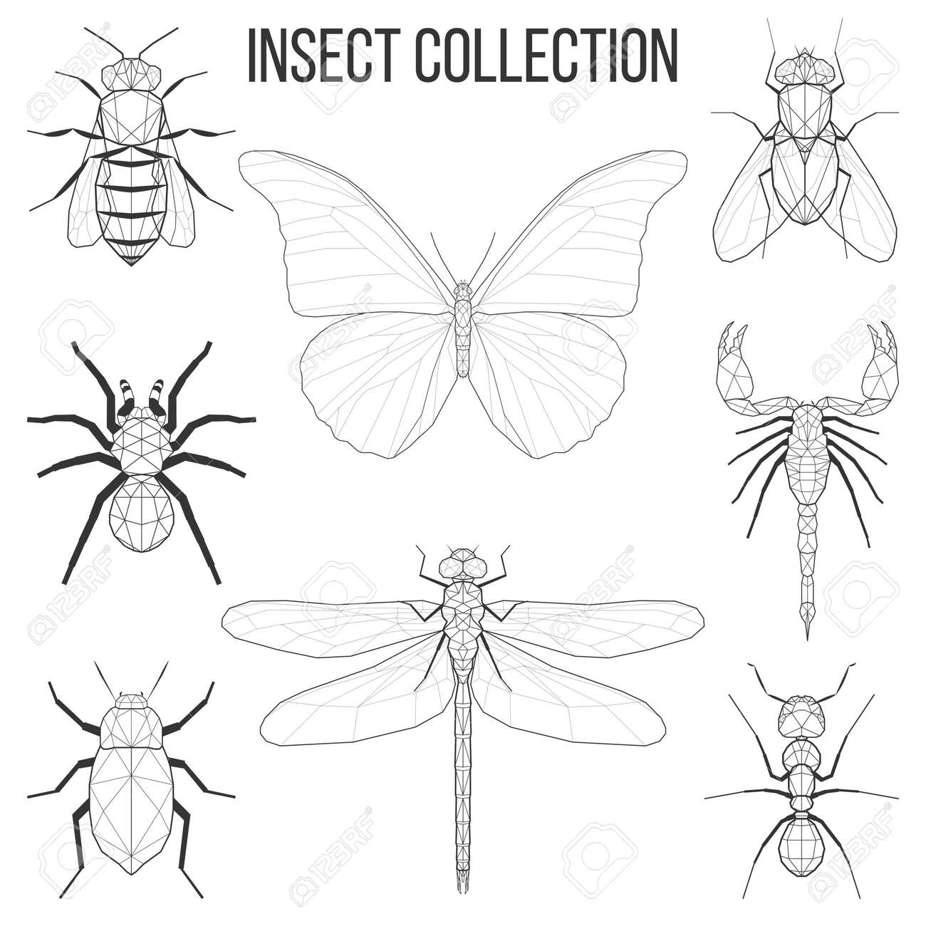 昆虫セット蜂 飛ぶ 蝶 トンボ カブトムシ アリ クモ サソリ幾何学線を昆虫シルエット白地ビンテージ ベクトル デザイン要素図に分離 の写真素材 画像素材 Image