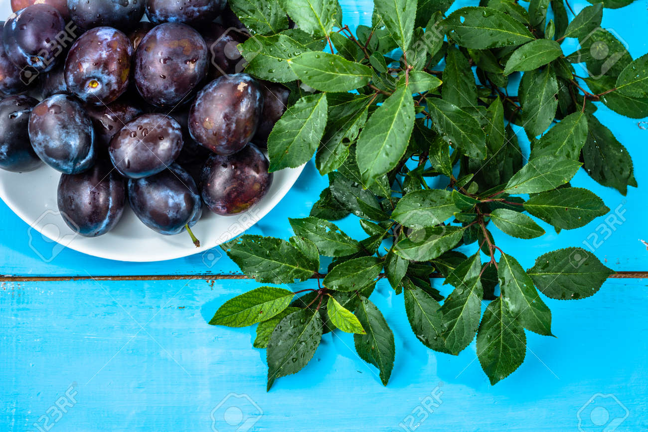 紫 梅 木製のテーブル 秋の季節の果物背景に濡れた果実 の写真素材 画像素材 Image