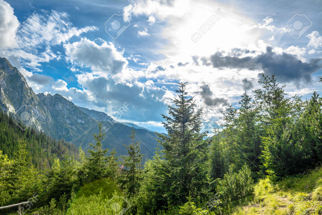 雄大な山々 夏 風景 ポーランドのタトラ山脈の眺め の写真素材 画像素材 Image