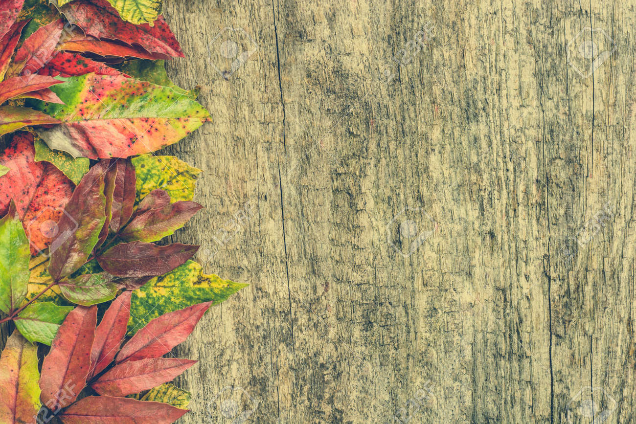 すべての花の画像 最新のhd紅葉 壁紙 すべての花の画像 最新のhd紅葉 壁紙