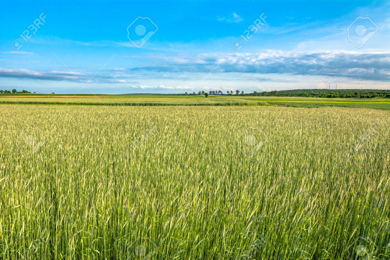人気ダウンロード 野原背景 野原背景イラストフリー