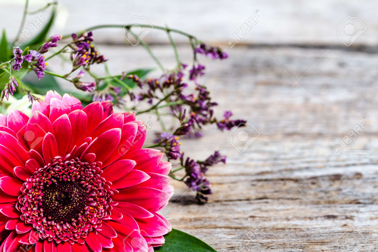 Pink Gerbera Flower Background For 8 March Women S Day Mother S Day Wedding Invitation Stock Photo Picture And Royalty Free Image Image