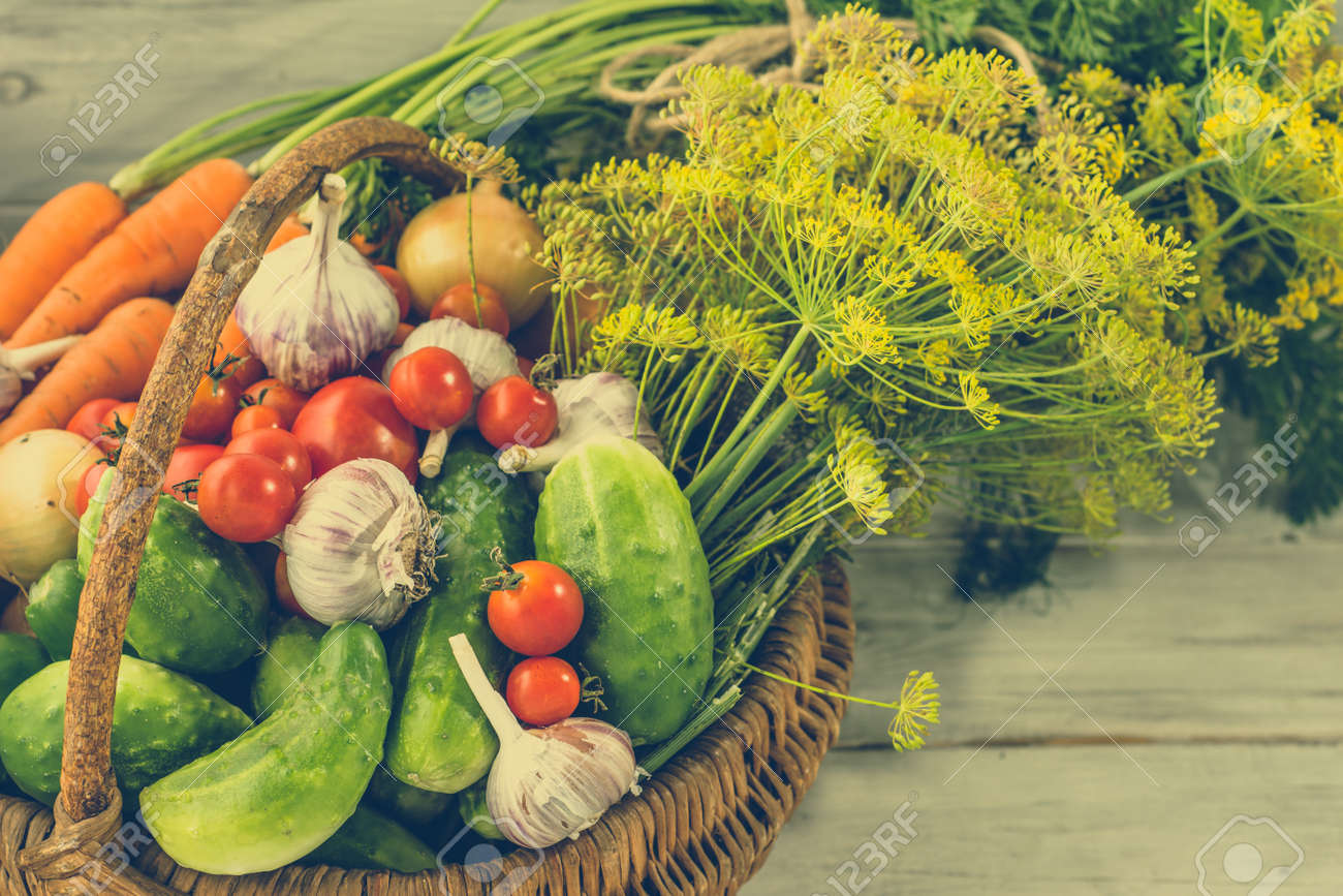 basket of vegetables farm