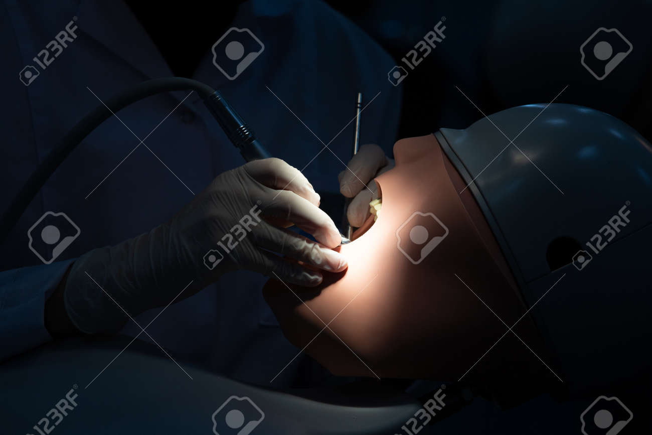 歯科用マネキンファントムヘッドモデルシミュレーショントレーニング