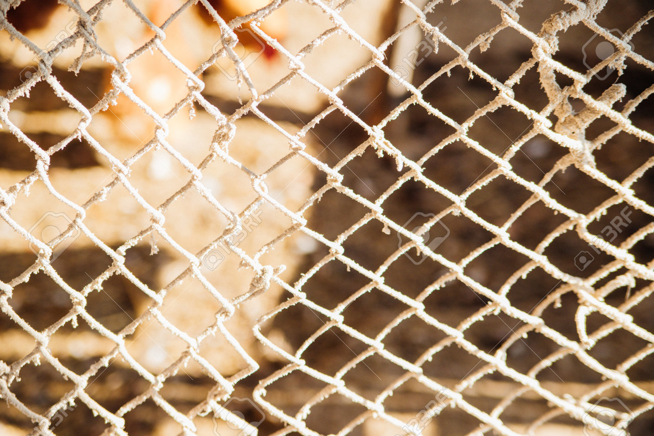 etiam-dictum-ipsum-a-felis