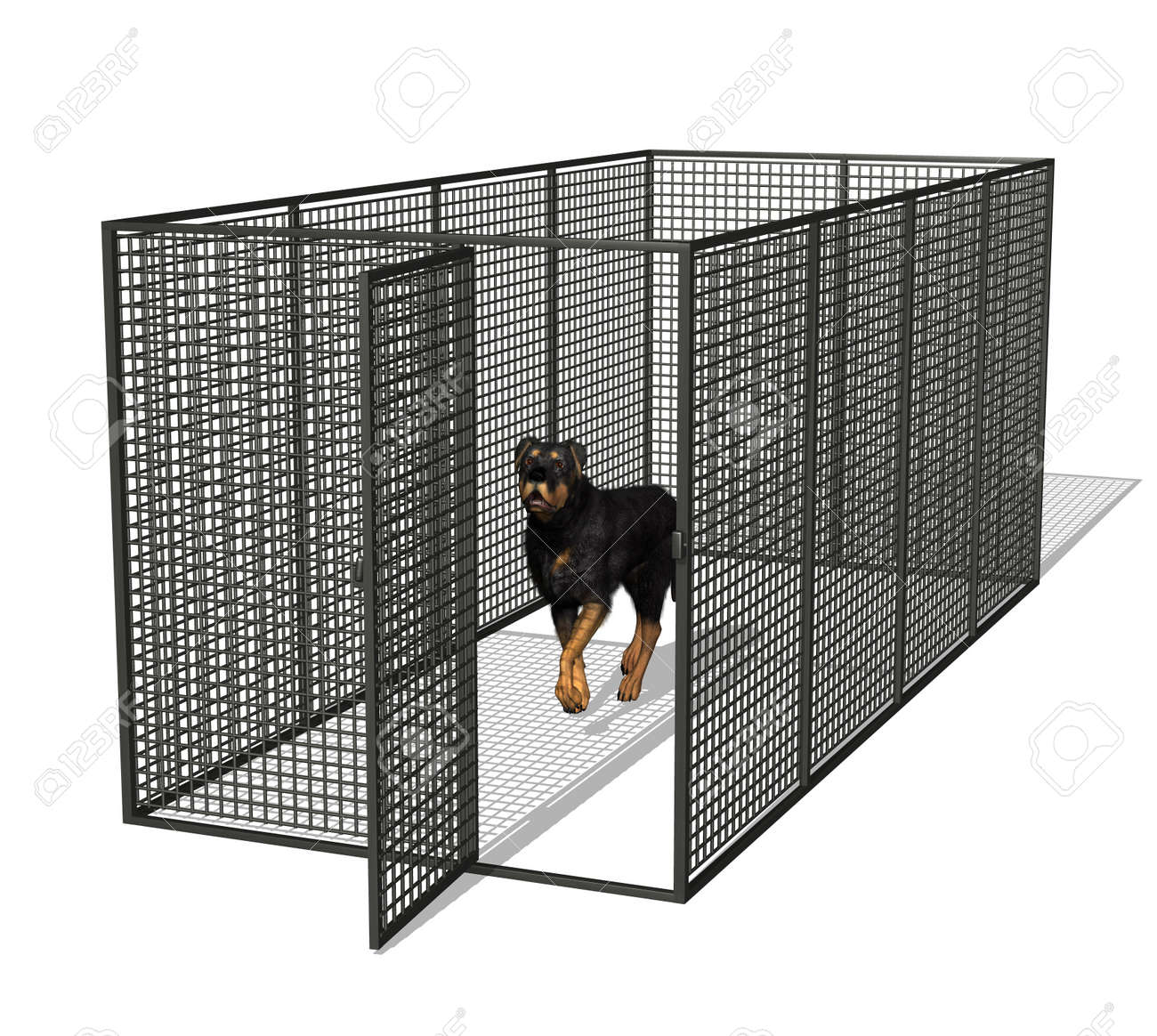 rottweiler cage