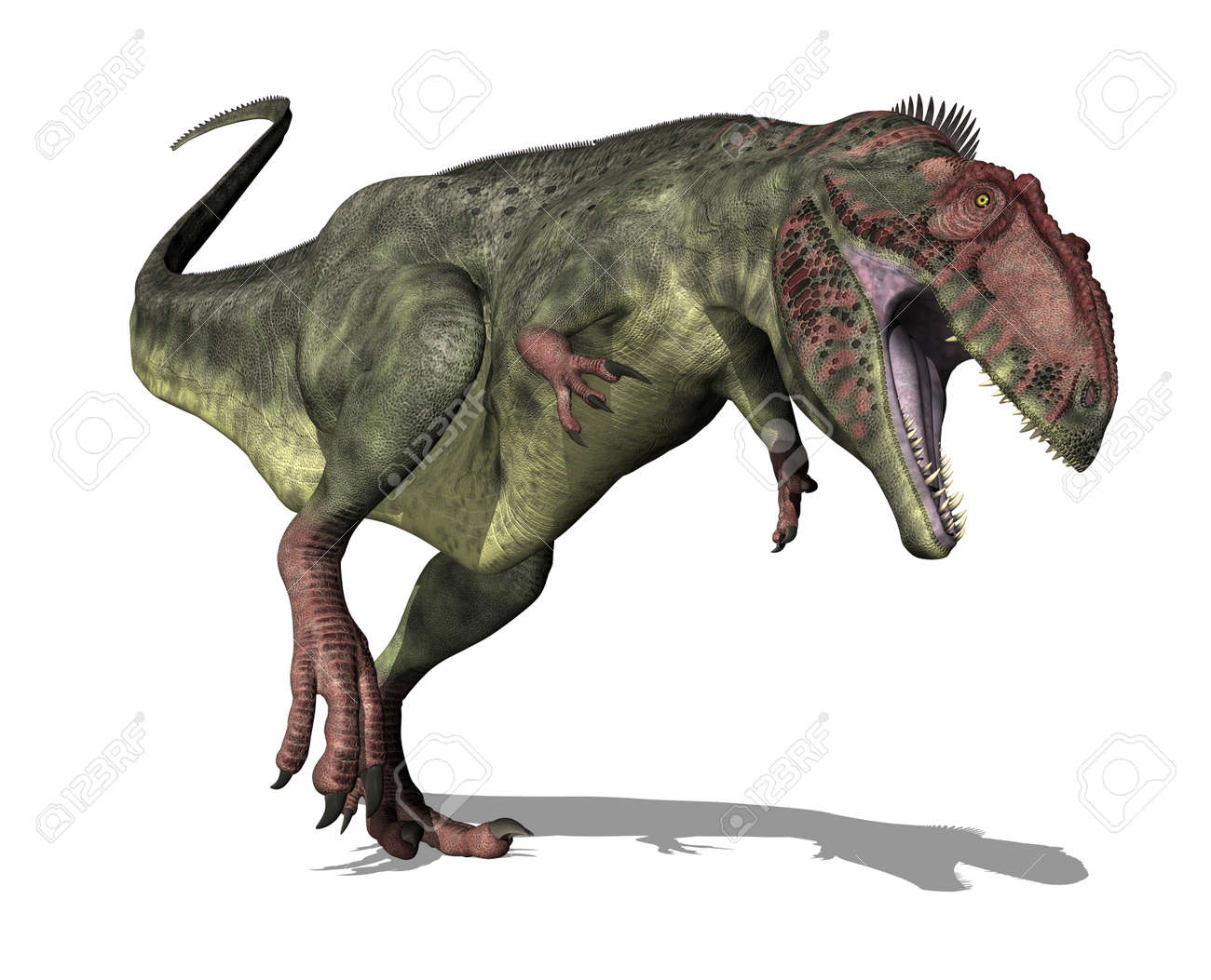 The Giganotosaurus Dinosaur Lived In South America During The Late  Cretaceous Period - 3D Render. Stock Photo, Picture and Royalty Free Image.  Image 11930510., image size:1300x1053