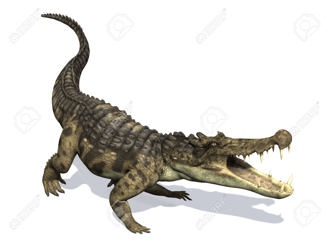 the kaprosuchus greek for boar crocodile was a prehistoric kaprosuchus size