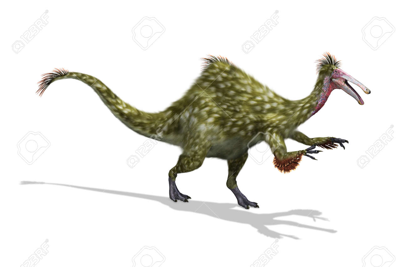 Deinocheirus Cut Out Stock Images & Pictures - Alamy
