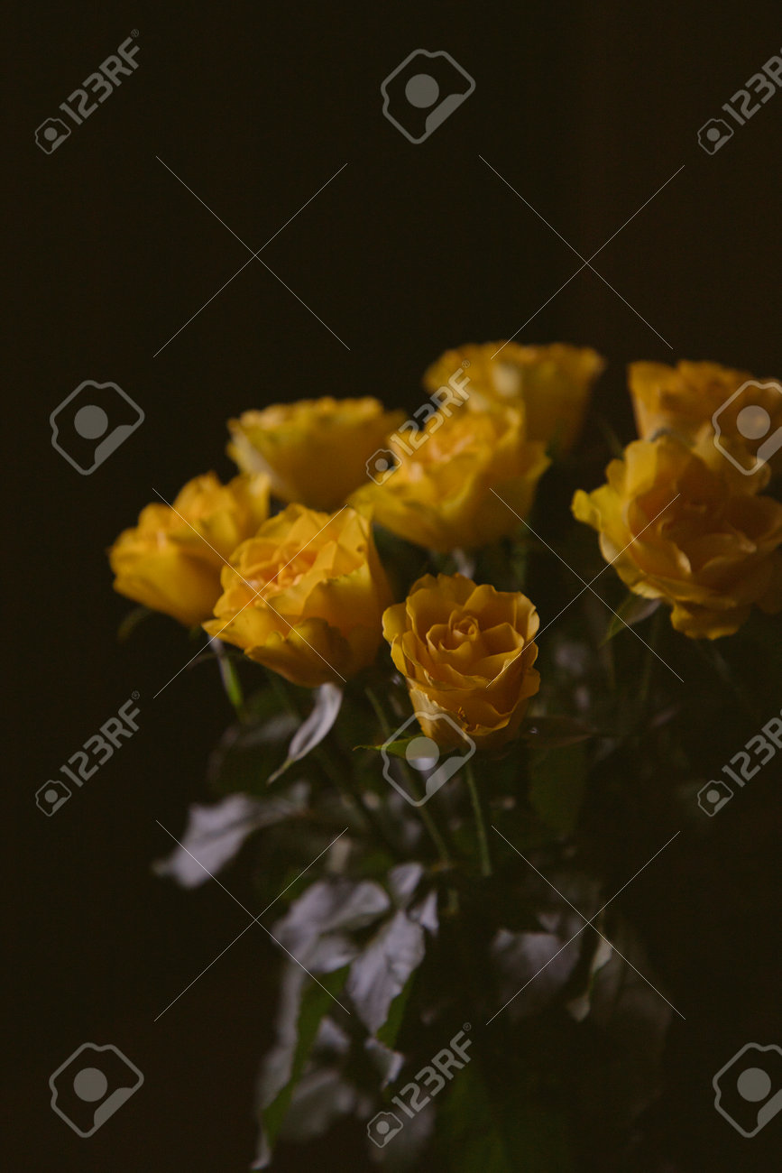 etiam-dictum-ipsum-a-felis